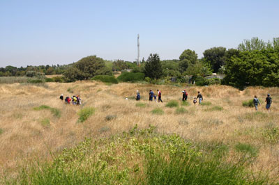 צילום:דרור עזרא