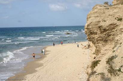 צילום:דרור עזרא