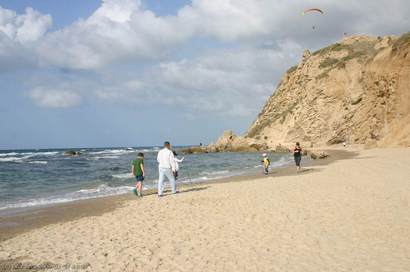 צילום:דרור עזרא