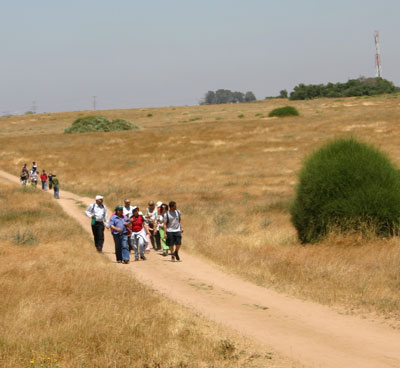 צילום:דרור עזרא