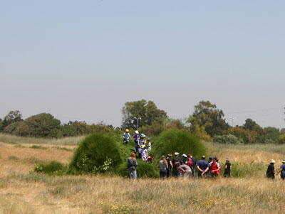 צילום:דרור עזרא